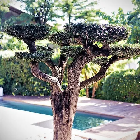 House Avenue Villa *