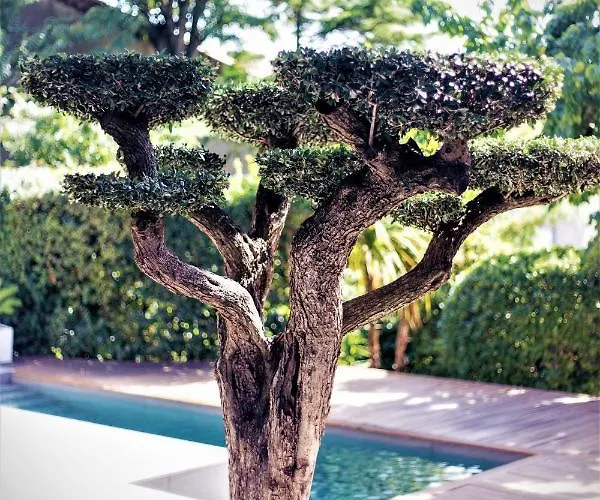 House Avenue Вилла *